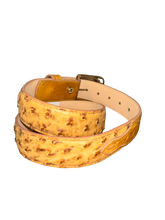 Load image into Gallery viewer, R. Watson Men's Antique Saddle Full Quill Ostrich Belt