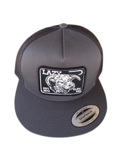 Lazy J Ranch Wear Grey Elevation Hereford Patch Hat