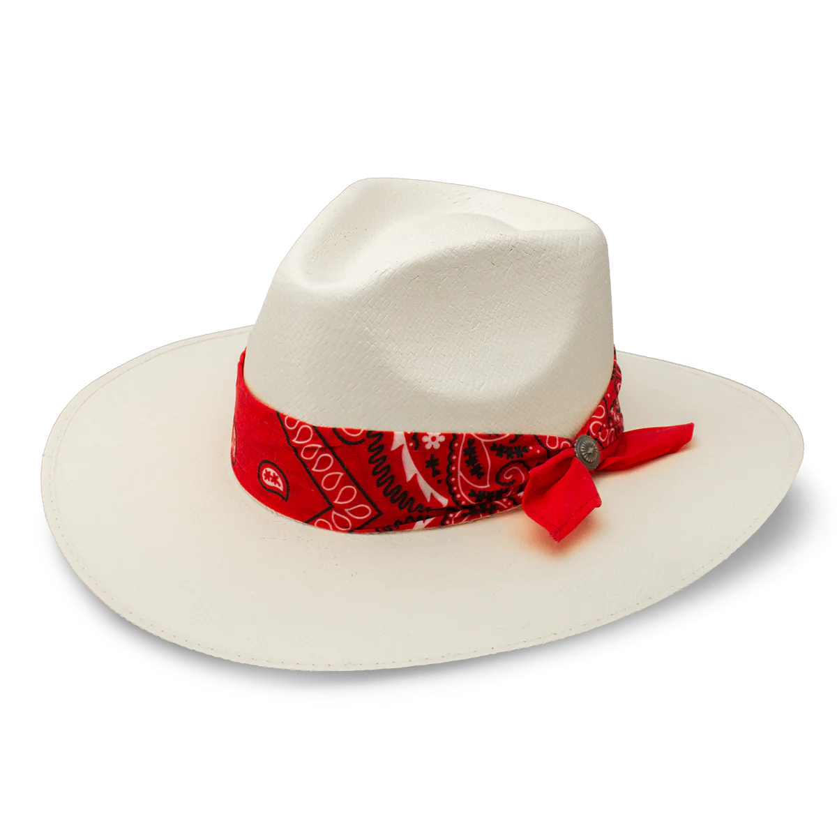 Charlie 1 Horse Dreamcatcher Fashion Straw Hat
