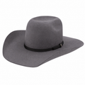 Hooey Day Money Grey 4X Felt Hat