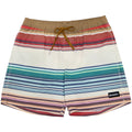 Hoey "Bigwake" Men's Swim Shorts