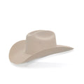 Stetson 6X Silver Belly Felt Hat