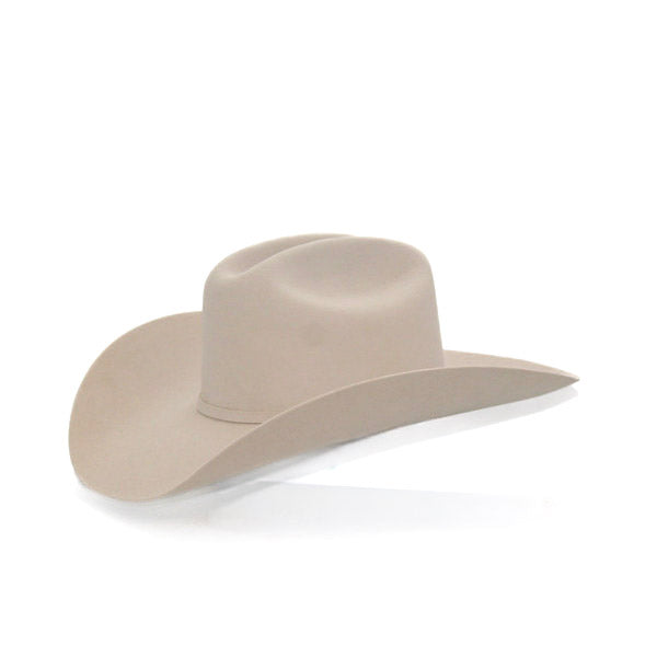 Stetson 6X Silver Belly Felt Hat