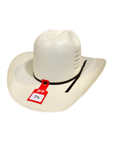 Load image into Gallery viewer, Bailey &quot;Deen&quot; 3 3/4&quot; Bangora Straw Hat
