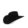 Stetson Oak Ridge 3X Felt Hat