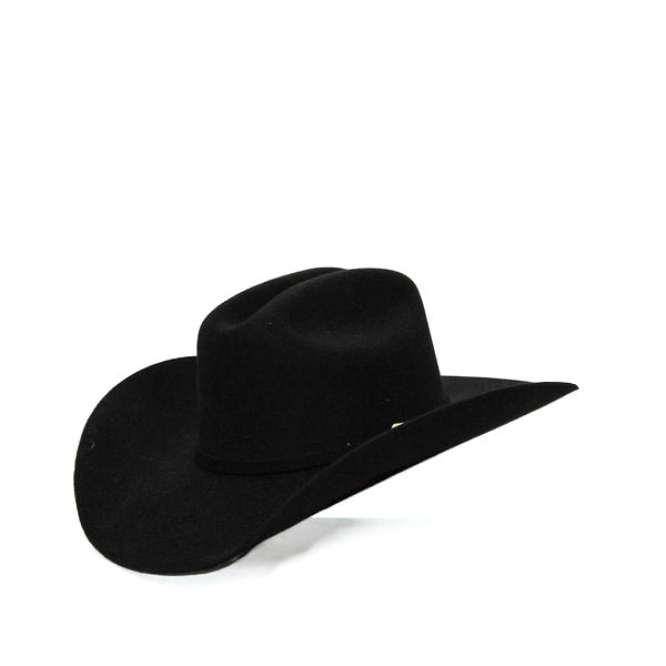 Stetson Oak Ridge 3X Felt Hat