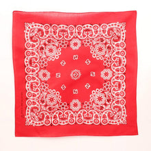 Load image into Gallery viewer, Large Bandanas
