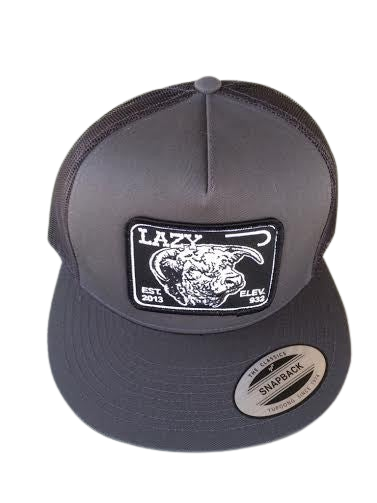 Lazy J Ranch Wear Grey & Grey 4