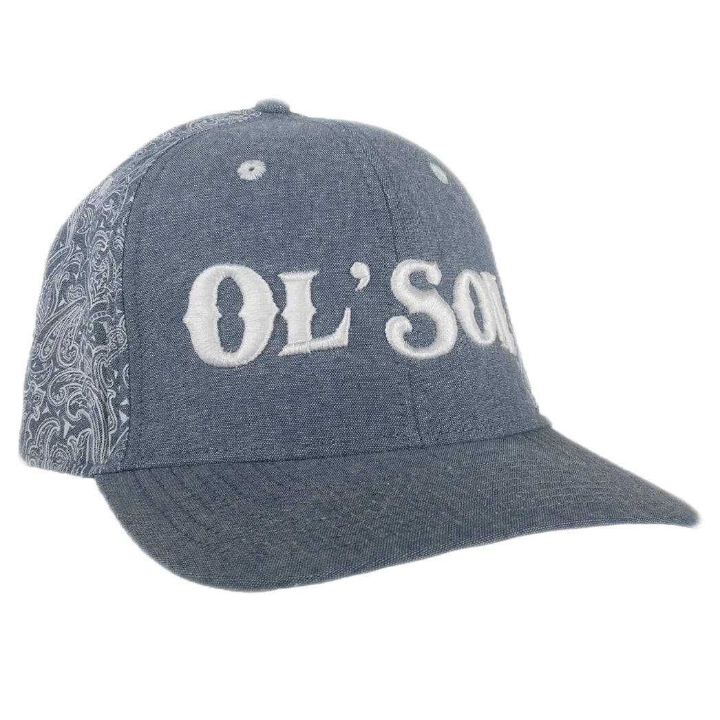 Dalewear Ol' Son Denim Paisley Flatbill Cap